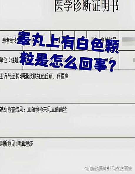 睾丸皮上有一片变白了