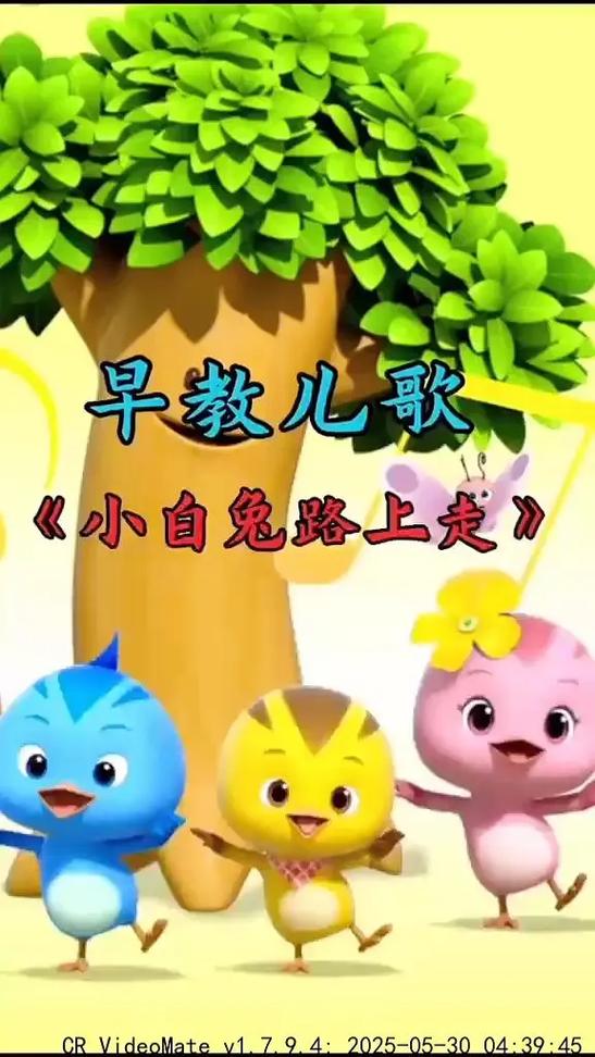 0到3岁儿歌100首 连播缩略图
