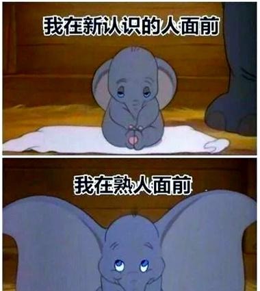 二次元社交app有哪些缩略图