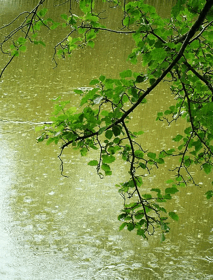 春雨看全集高清完整版缩略图