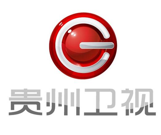 贵州卫视在线直播观看游戏截图