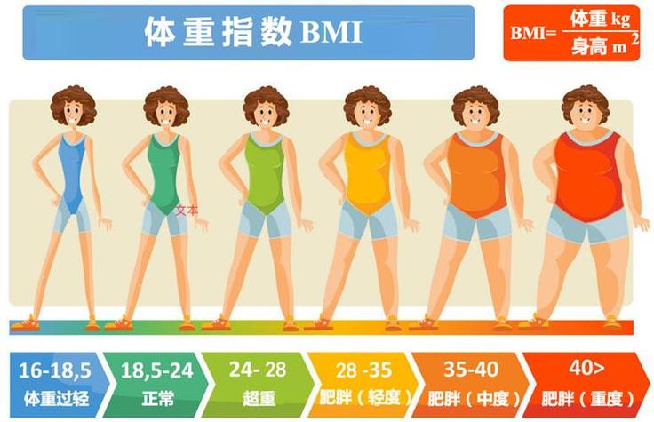 亚洲女性与欧洲女性BMI对比