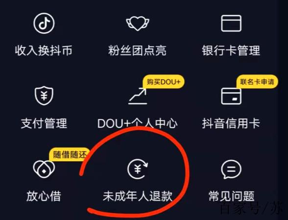 抖币不支持花呗吗缩略图