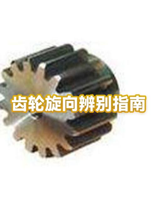 一对外啮合齿轮的旋转方向