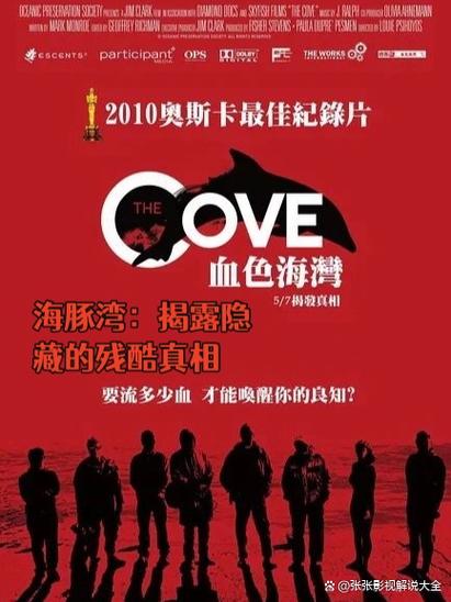 海豚湾的秘密缩略图
