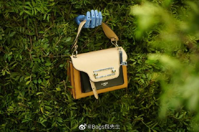 电子版照片能调整尺寸吗