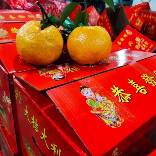 发财橙子赚钱app下载链接缩略图