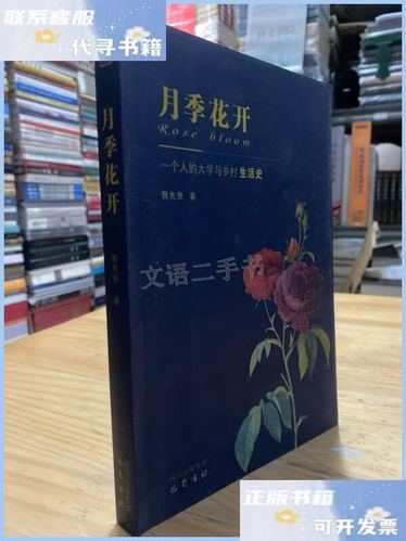 月季花开番外 小说缩略图