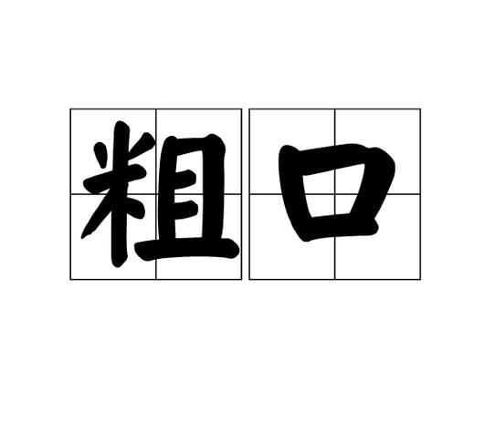 骂人语言