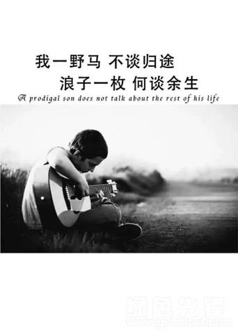 回头的浪子歌曲