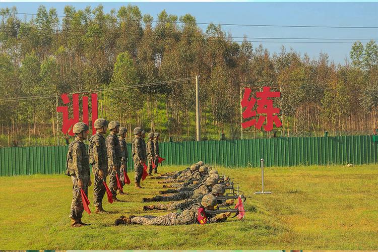 训练弹和实弹的区别图标