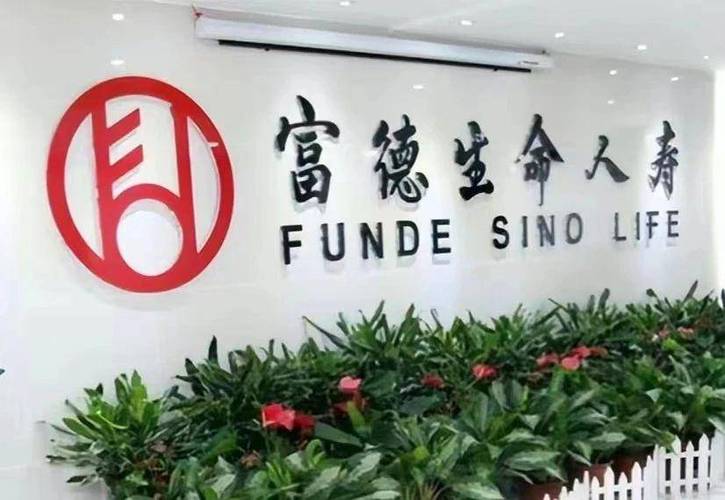 富德生命人寿保险百万医疗缩略图