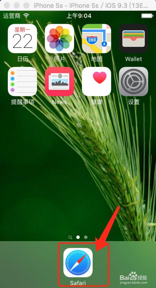 safari手机版变网站版游戏截图