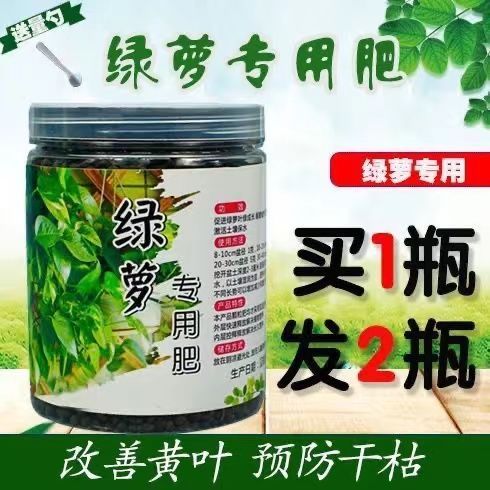 绿萝用什么肥料养才能更旺盛缩略图