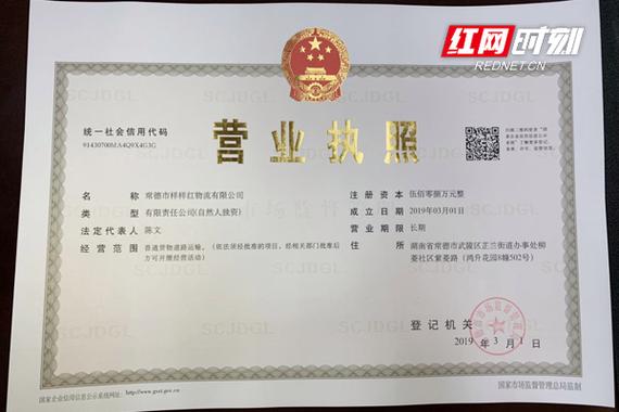 湖南政务服务网办理营业执照游戏截图