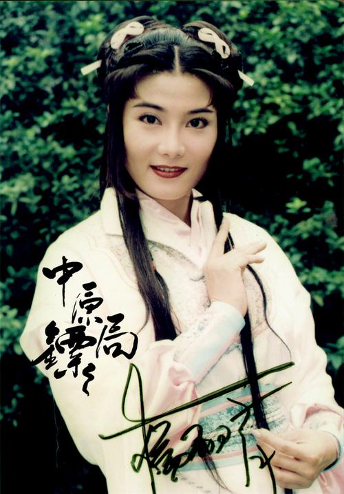 中原镖局日韩版在线观看缩略图