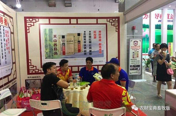 江西综合素质评价入口官网