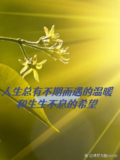 我从没想过遇见你但我遇见了