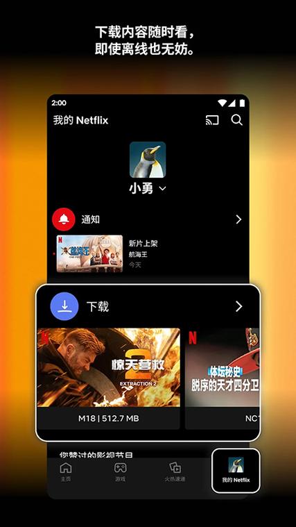 奈飞中文版官网入口下载缩略图
