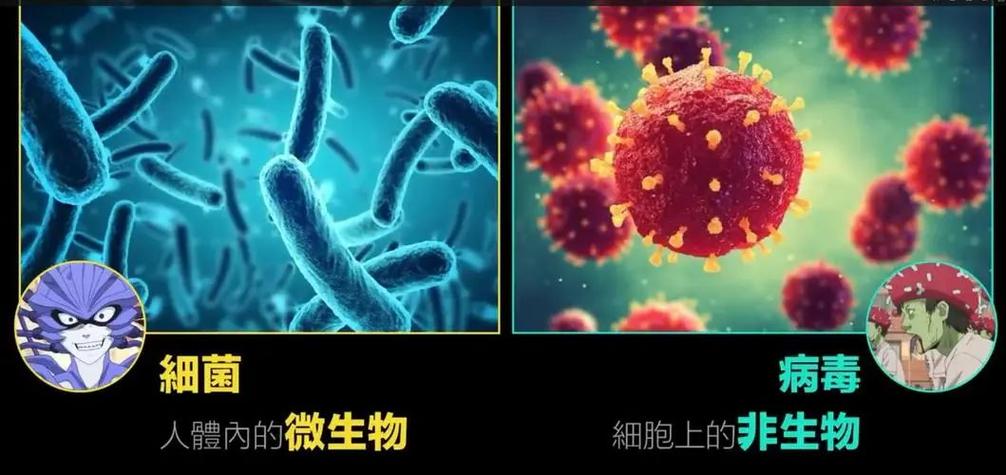 细菌是病毒的一种吗