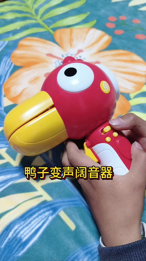 鸭子翻译器缩略图