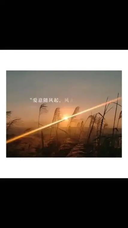 见面的句子唯美短句缩略图