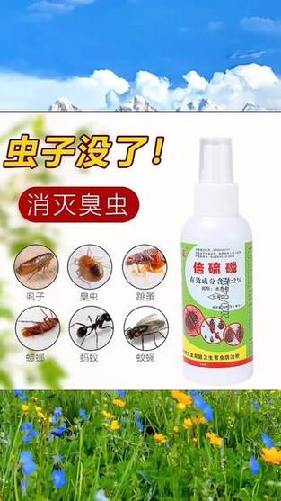 床板上有臭虫用什么药清除