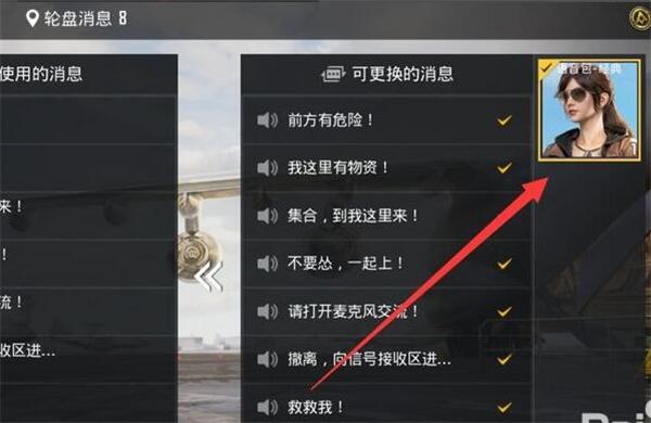 和平精英怎么换语言缩略图