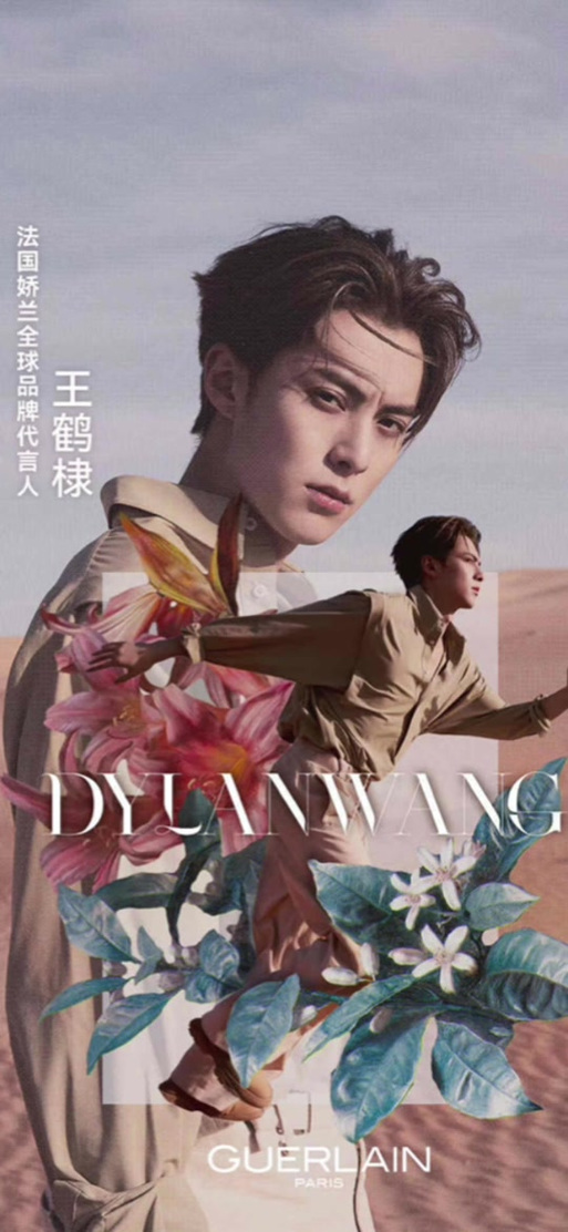 王鹤棣代言了哪些品牌