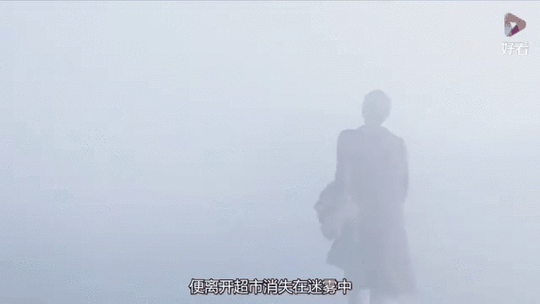 迷雾2
