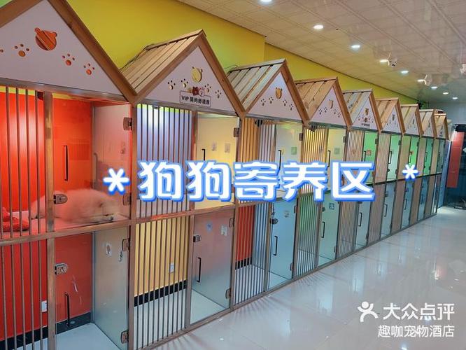 哈尔滨宠物寄养缩略图