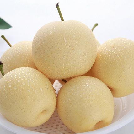 雪梨网app官方版下载缩略图