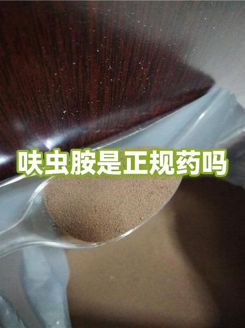床上有虫子最怕三个药游戏截图