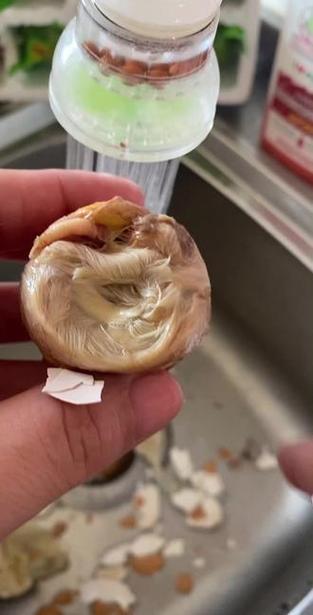 带毛的活珠子能吃吗缩略图