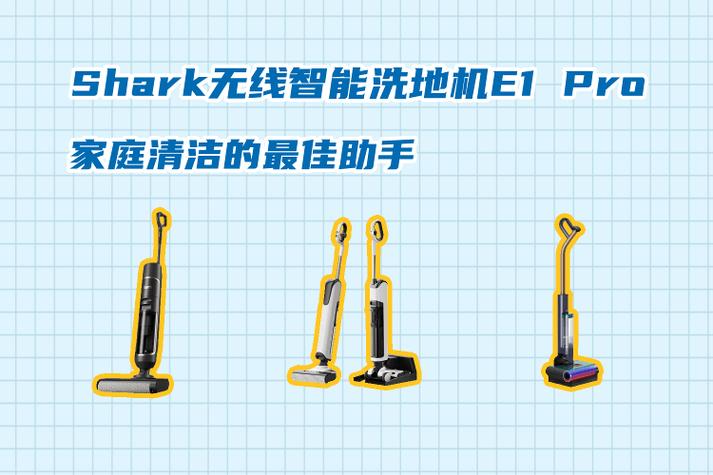 鲨鱼如何清洗才干净缩略图