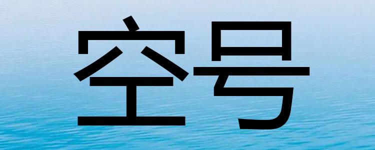 空号以后手机号还能不出来吗游戏截图