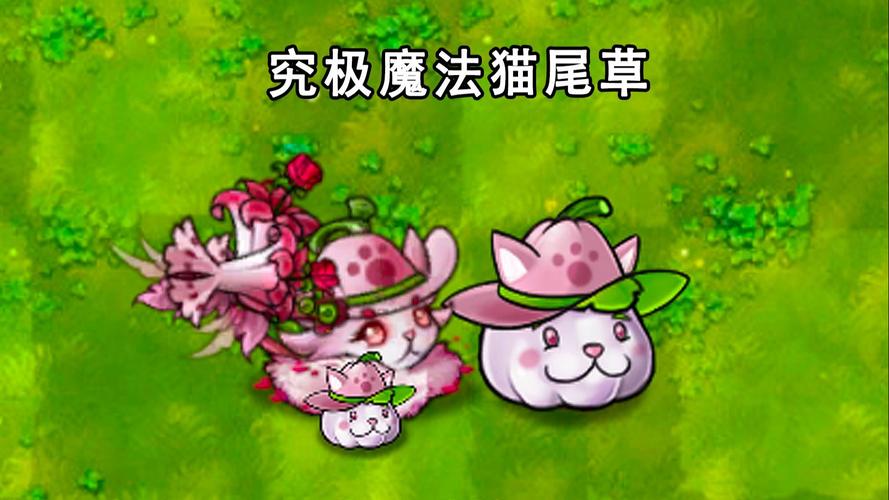 猫尾草的攻击方式