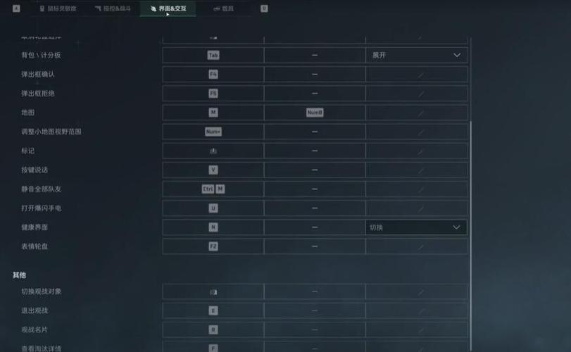PC端三角洲键位缩略图