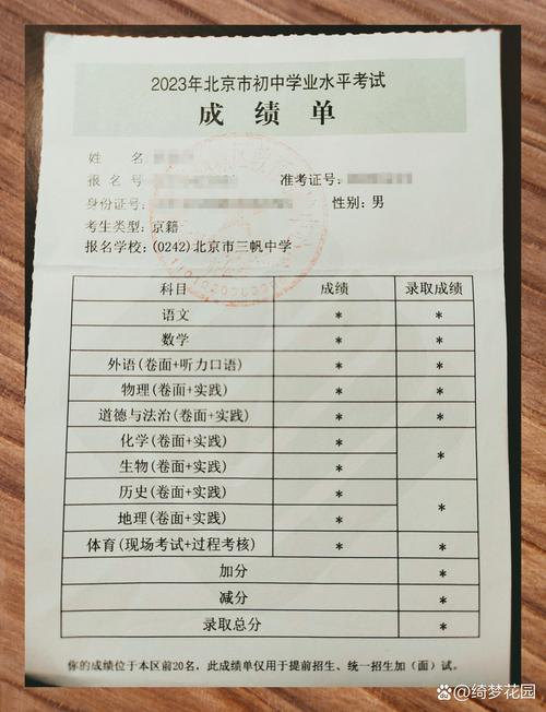 初三学生个人成绩单表格