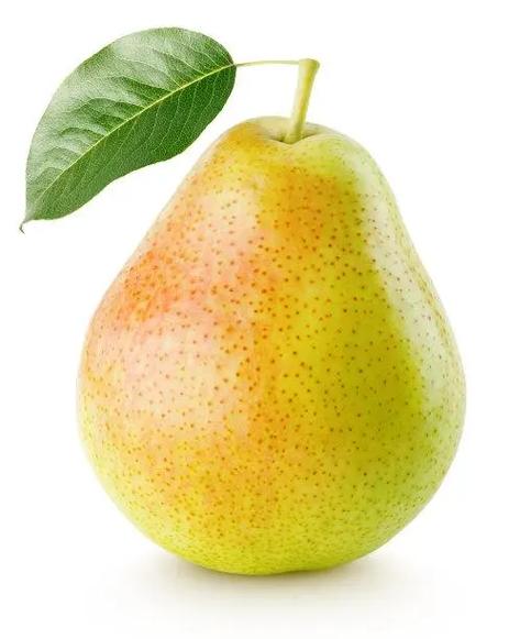 pear官网版安卓版下载缩略图