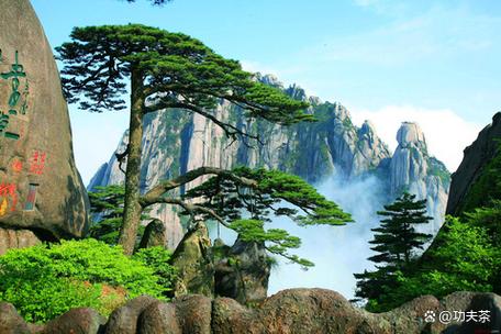 黄山旅游风景区缩略图
