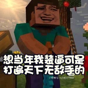 mc沙雕图片缩略图