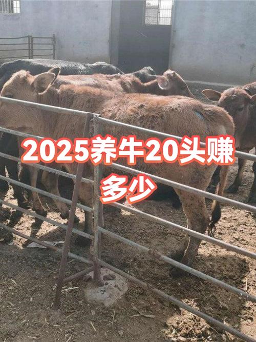 2025养牛补贴一览表游戏截图