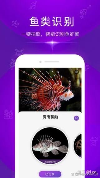 小鲫鱼和小鲤鱼区分图片