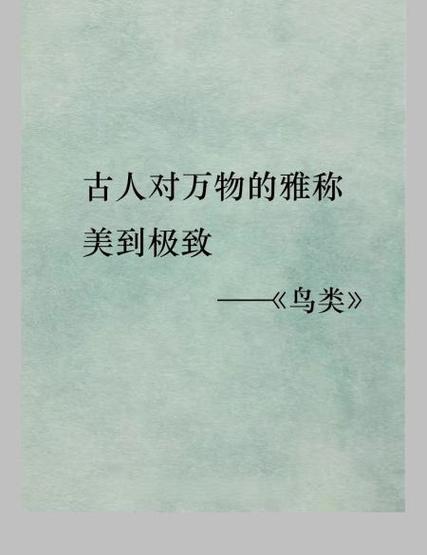 比翼鸟的雅称和别称游戏截图