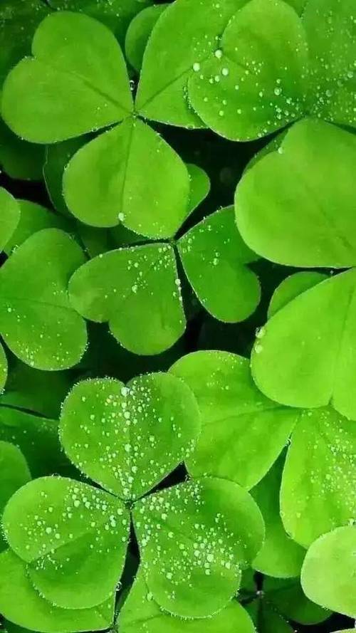 iOS护眼软件缩略图