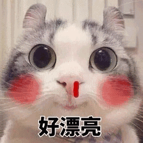 猫被打咪流鼻血表情包游戏截图