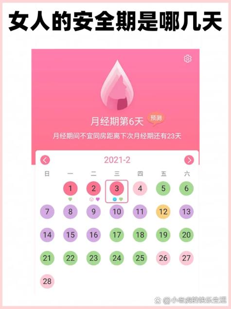 女人经期后几天排卵游戏截图