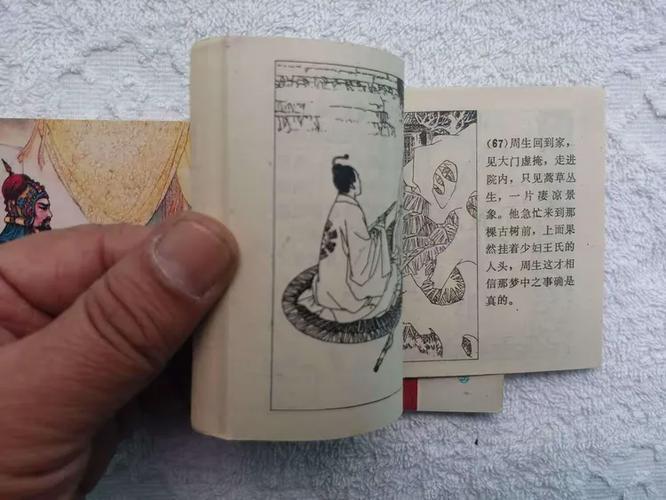 玉娇龙阅读全文游戏截图