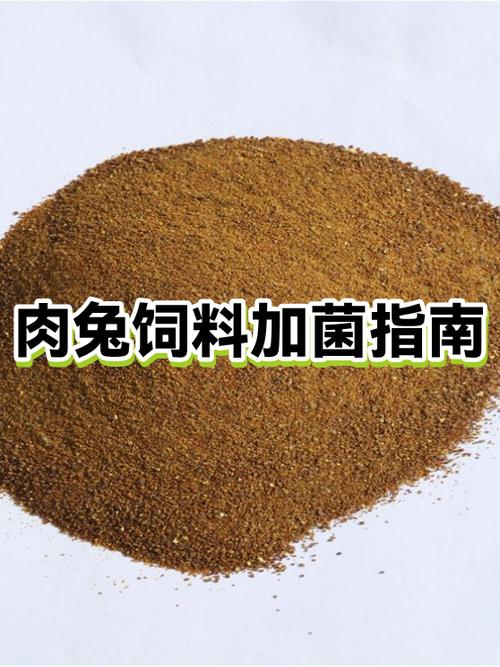 滨州有肉兔屠宰厂吗